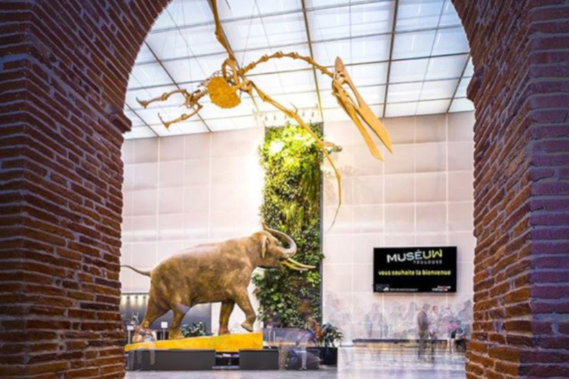 Museum de Toulouse
