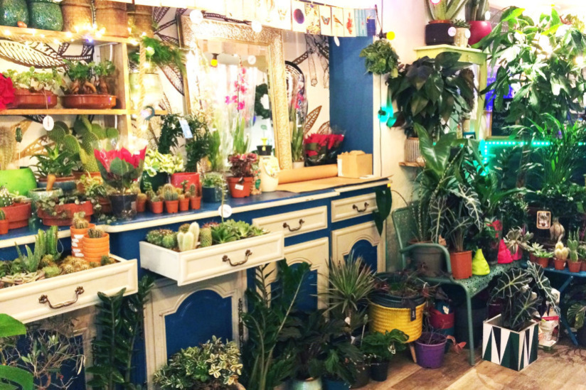 Salon ludique CAPSULE