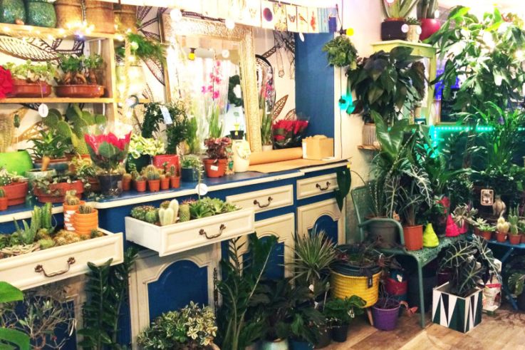 Salon ludique CAPSULE